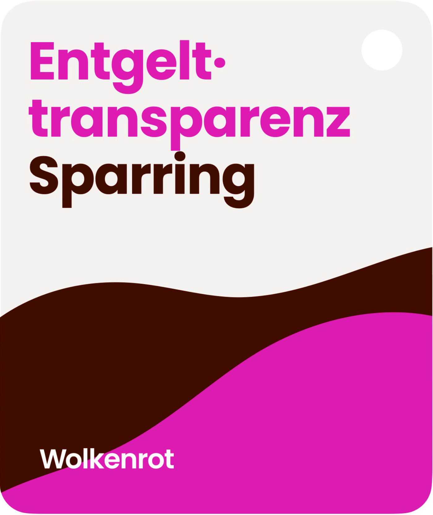 Entgelttransparenz Sparring